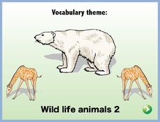 wildlife animals 2.zip